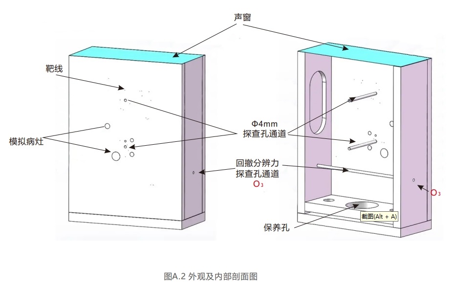腔內掃查超聲模體2 腔內掃查超聲模體2